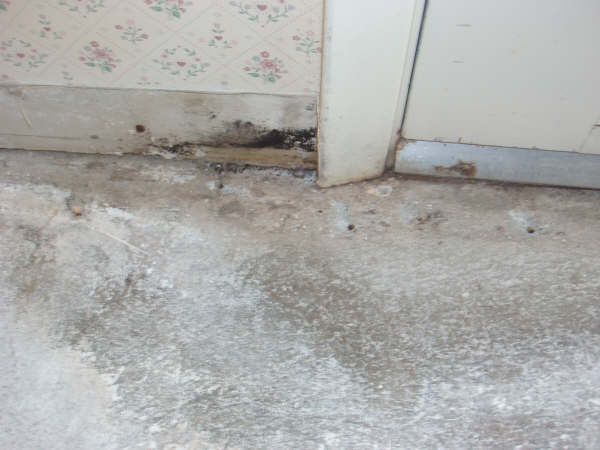 Gallery image 11 — mold testing in Atlanta