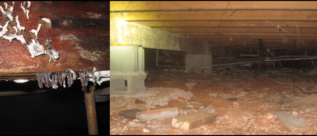 Gallery image 10 — mold testing in Atlanta