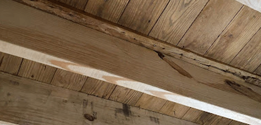 Gallery image 13 — 24/7 water mitigation near me