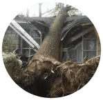 Gallery image 6 — emergency flood cleanup near me