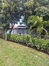 Gallery image 6 — hardwood tree care Plantation