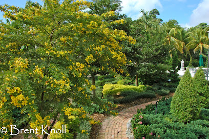 Gallery image 7 — wildlife habitat garden Miami