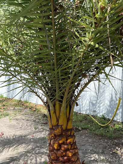 nursery near me Miami