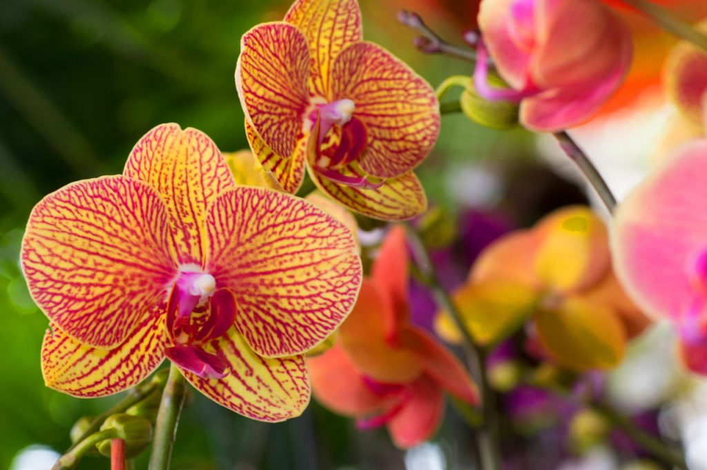 best garden center in Miami