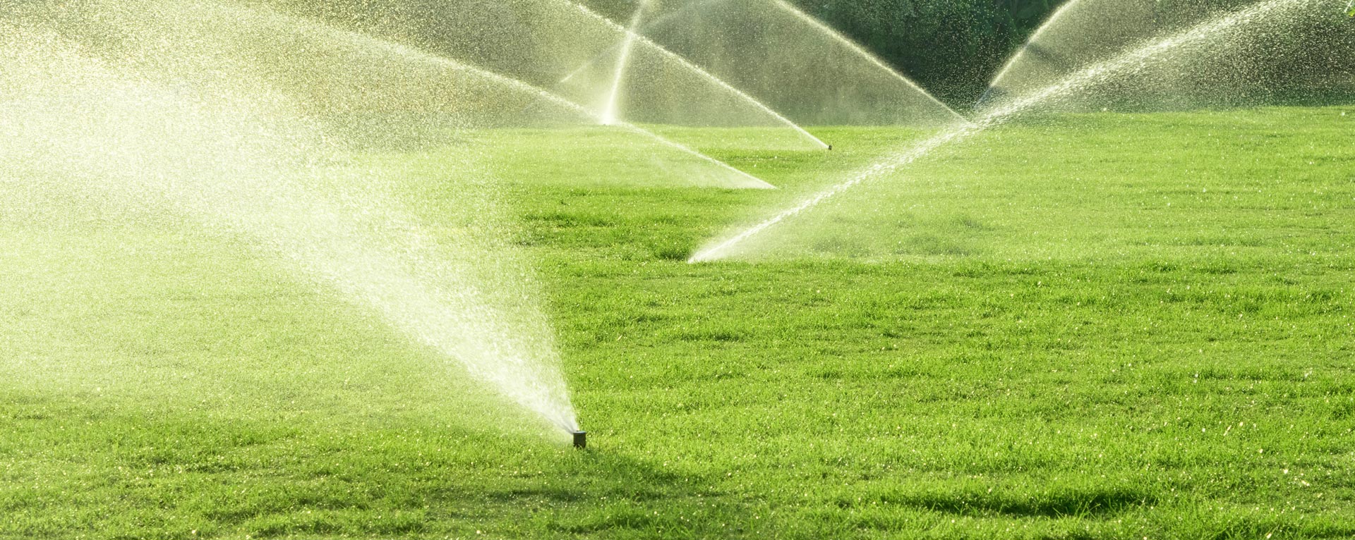 Gallery image 11 — tree trimming service near me