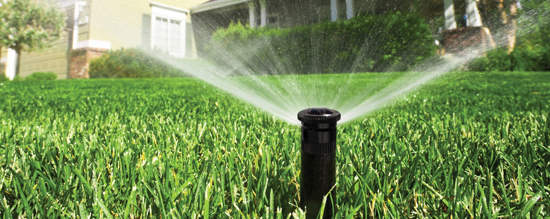 Gallery image 9 — tree trimming service near me