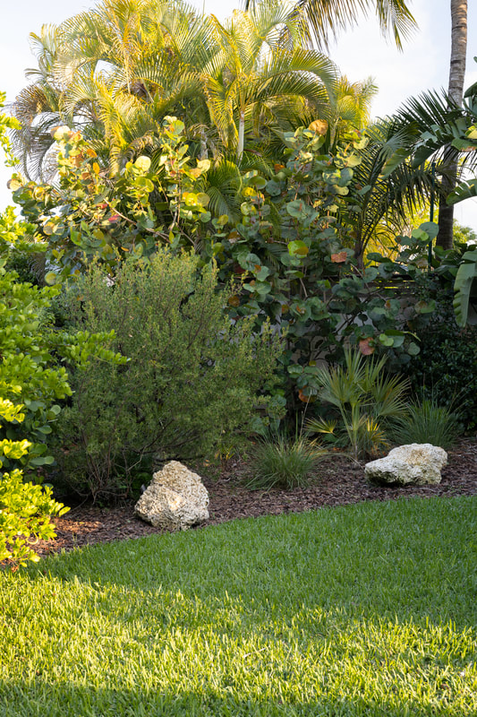 best native landscape designer near me