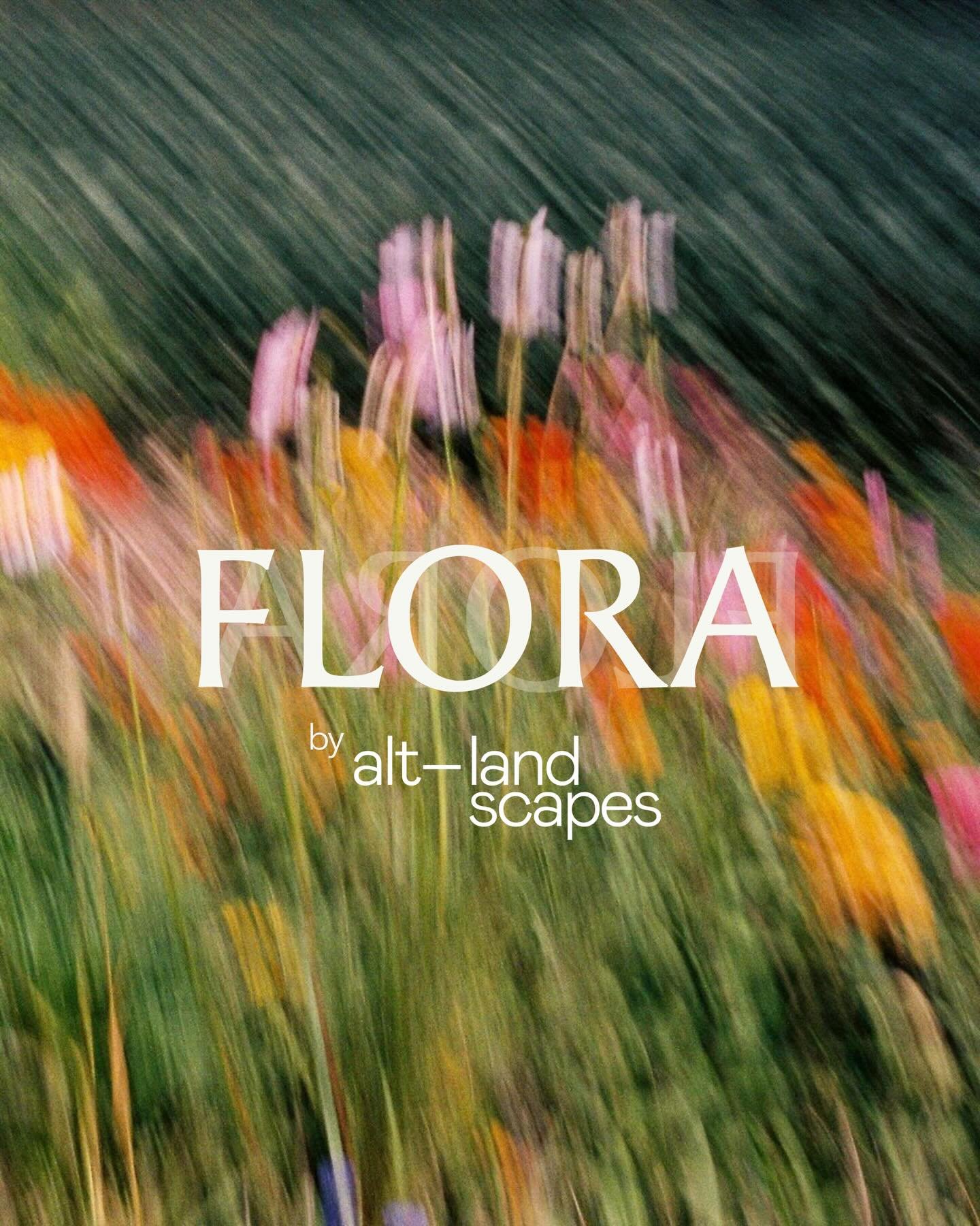 nature-focused landscape design Alt-landscapes