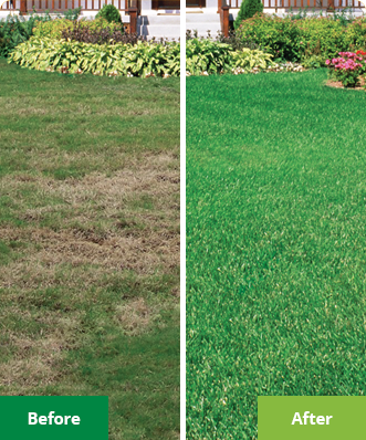 Gallery image 7 — core aeration in Coral Gables
