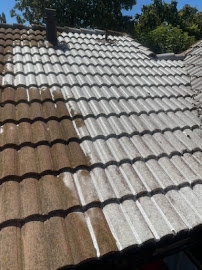 About affordable roof soft washing Temecula