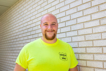 Gallery image 5 — mold sniffing dog inspection Chicago