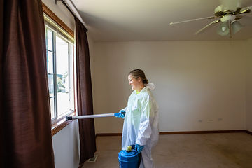 Gallery image 4 — mold remediation for homeowners in Kenilworth IL
