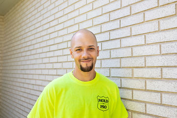 Gallery image 9 — best mold removal company in Tinley Park IL