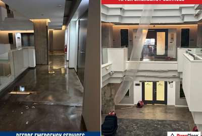 Gallery image 3 — mold removal Chicago IL