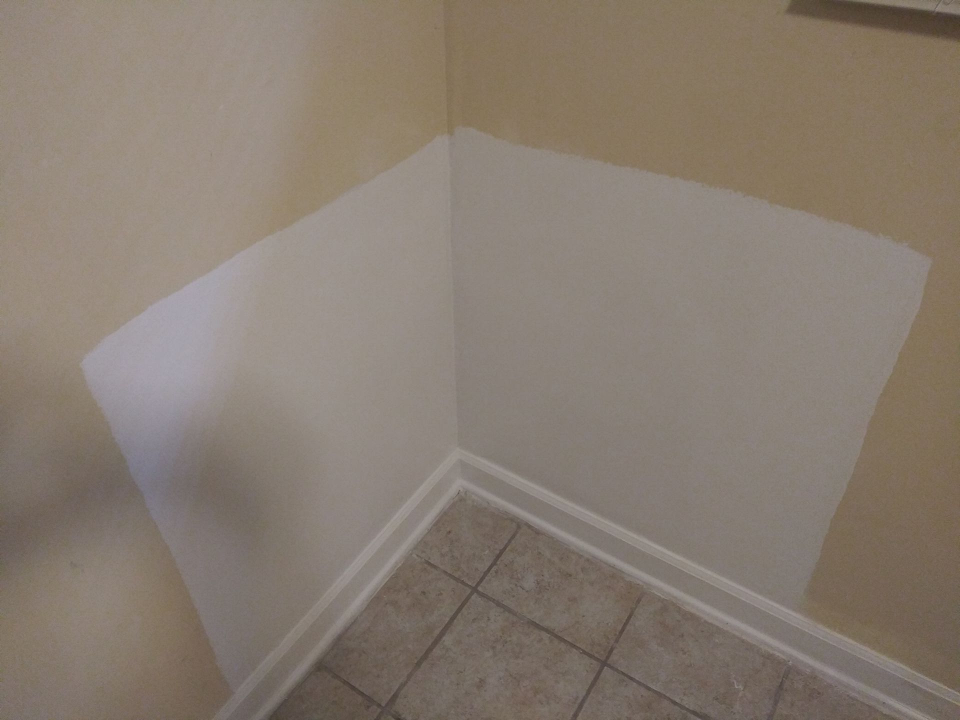 Gallery image 1 — mold removal Lakeview IL
