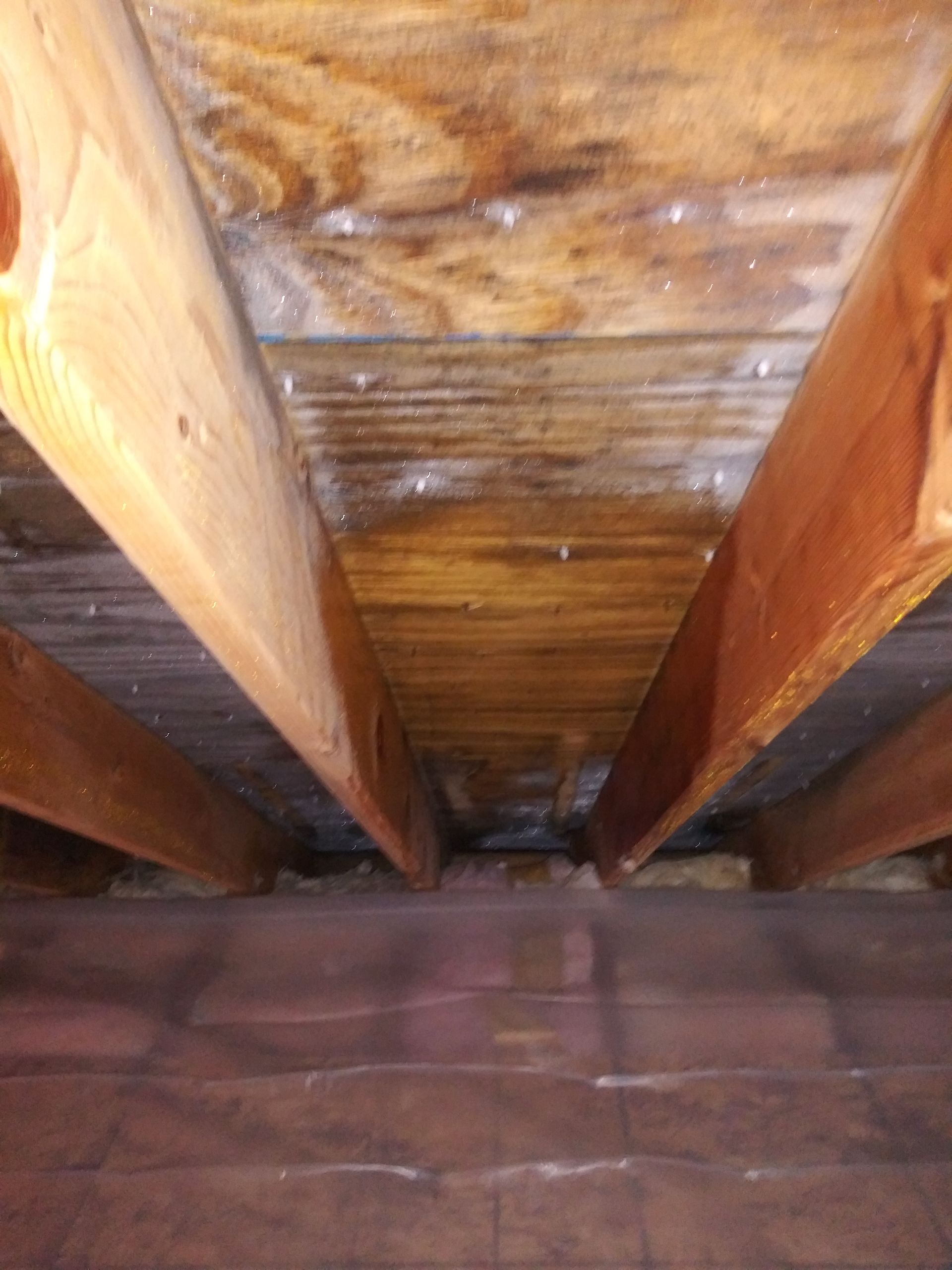 Gallery image 3 — mold removal Lakeview IL