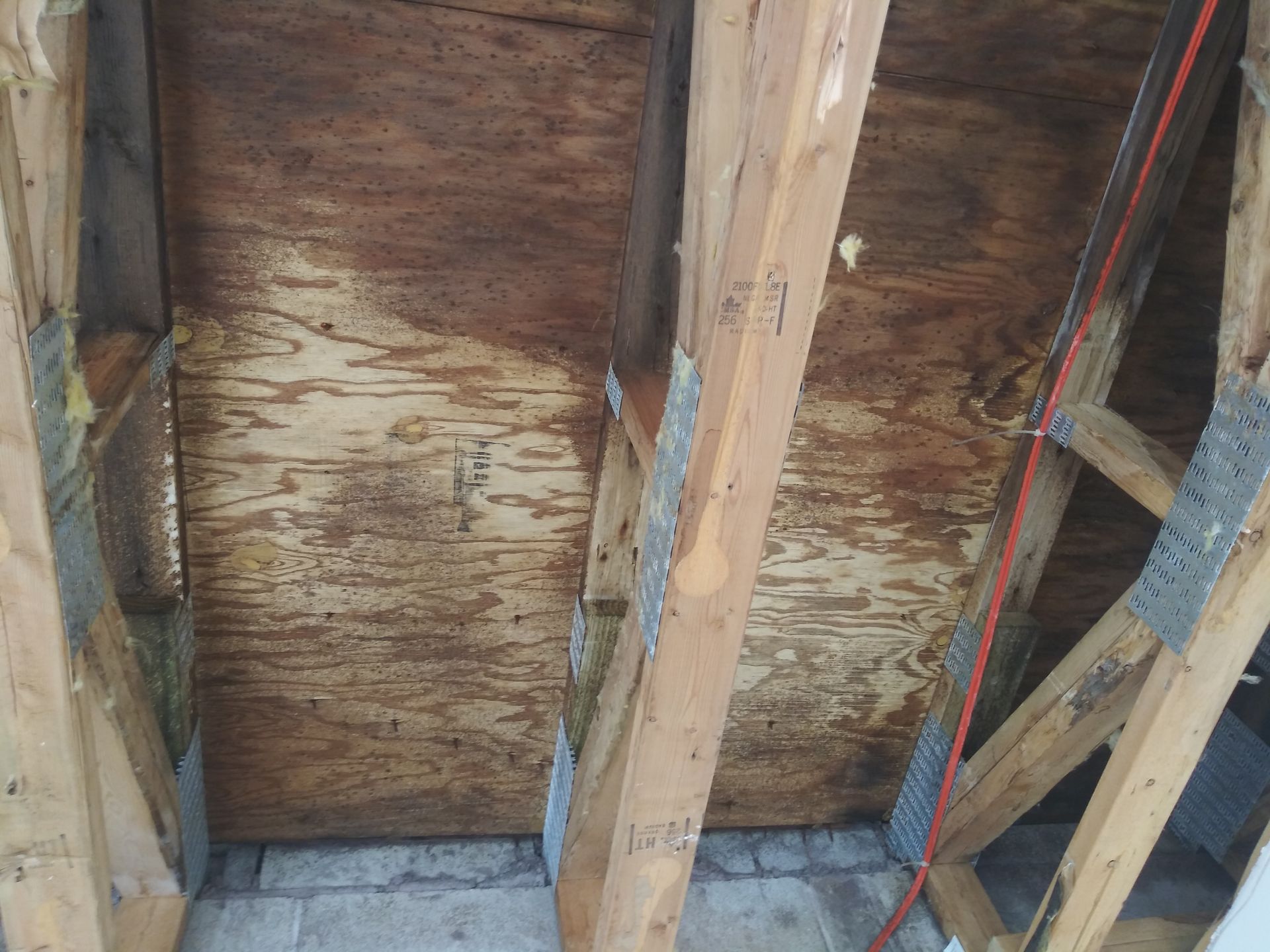 Gallery image 4 — mold removal Lakeview IL