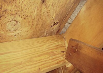 Gallery image 3 — crawl space encapsulation North Shore