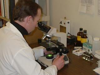 Gallery image 4 — licensed asbestos removal Chicago