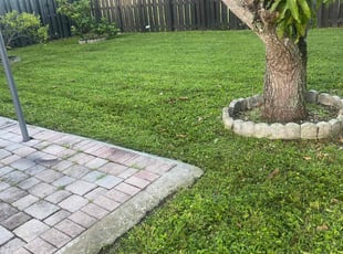 Gallery image 3 — lawn fertilization Miami