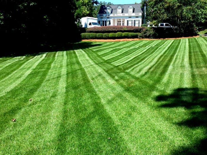 Gallery image 11 — best landscaper in Atlanta