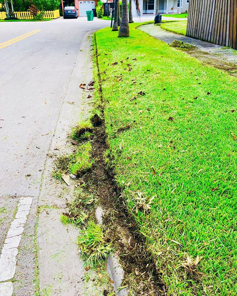 Gallery image 1 — lawn care in Miami