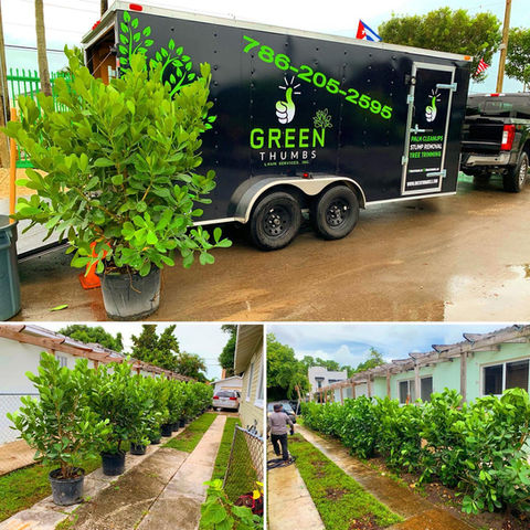 Gallery image 5 — lawn care in Miami
