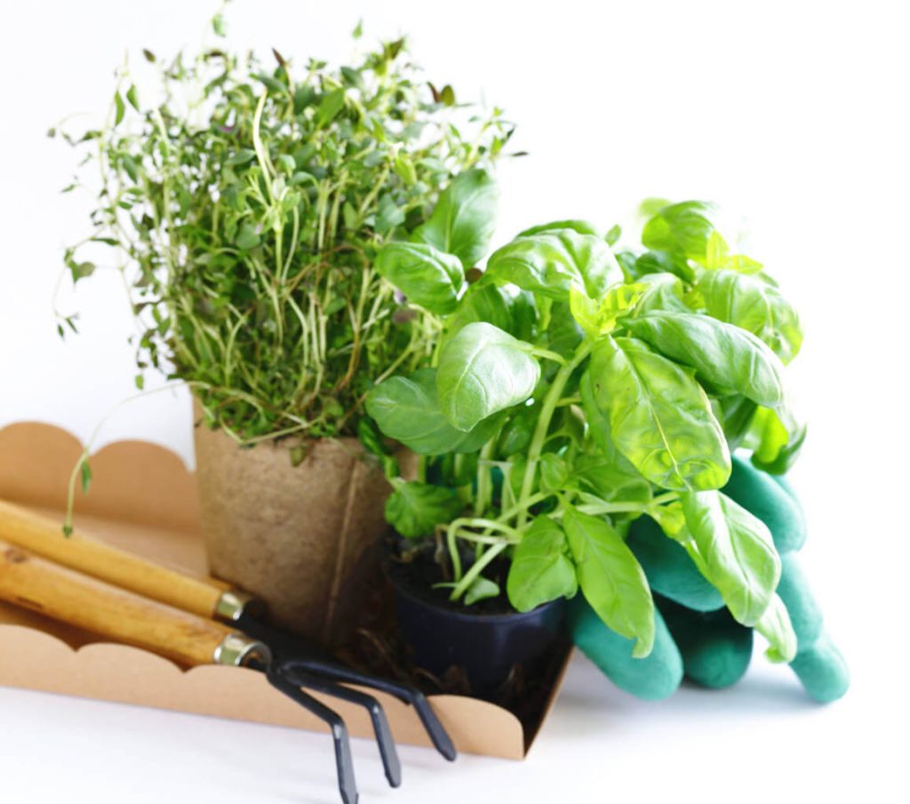 Gallery image 10 — hardscaping services Atlanta