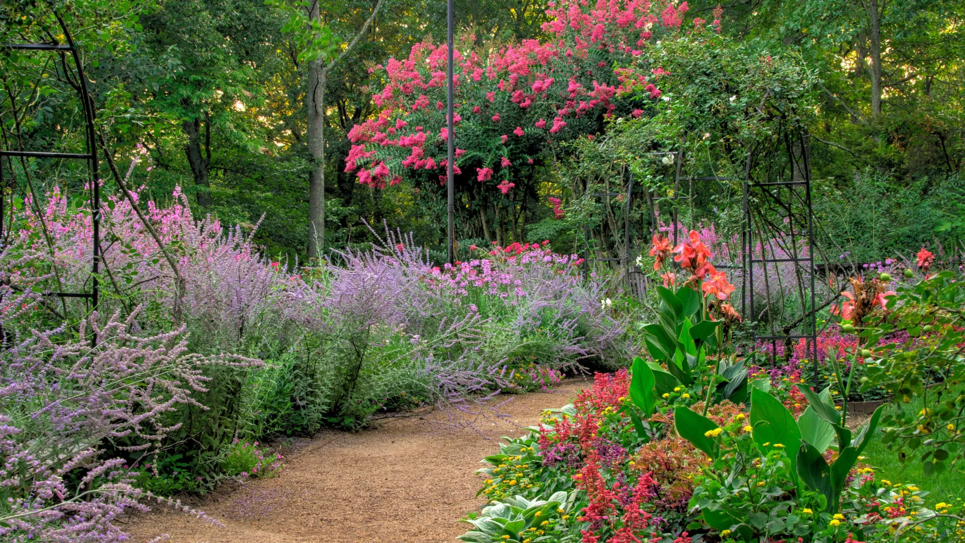 retail space landscape maintenance near me
