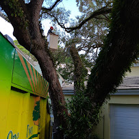 mosquito control Broward County