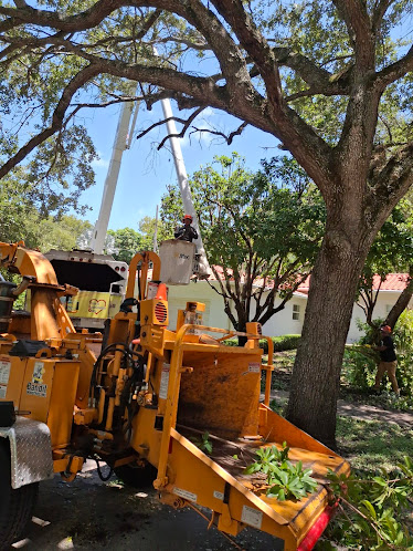 Gallery image 7 — commercial lawn care South Florida