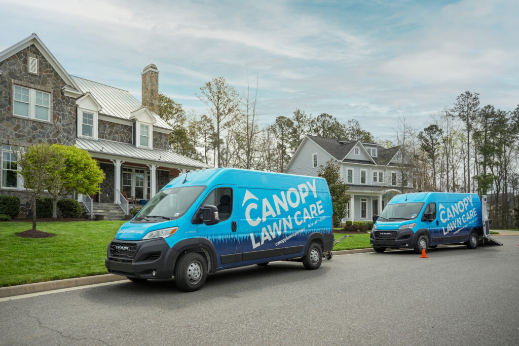 Gallery image 6 — lawn insect control Miami