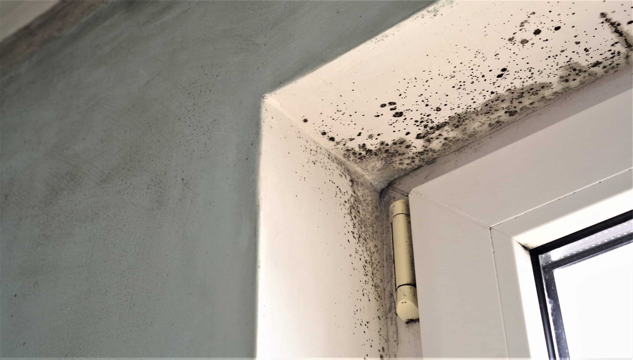 Gallery image 3 — water extraction service in Las Vegas