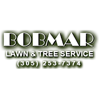 About stump removal Miami