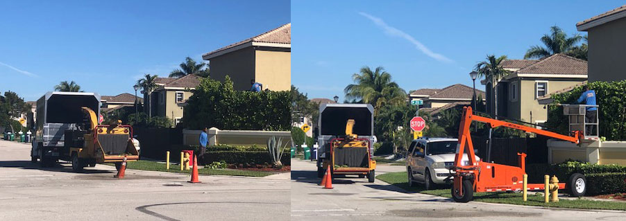 Gallery image 6 — stump removal Miami