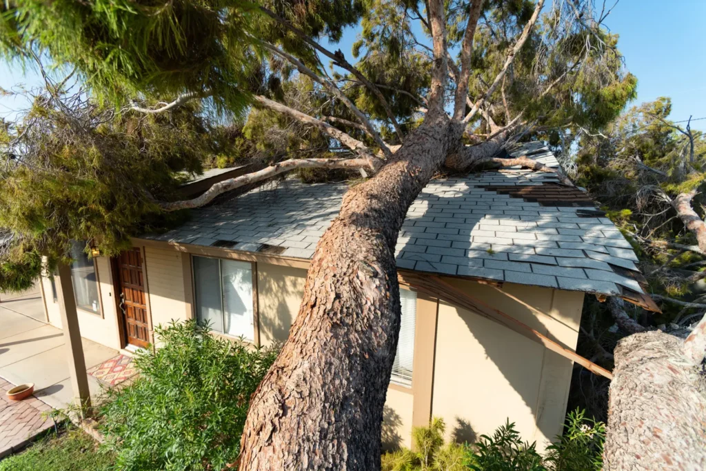 residential water damage repair near me