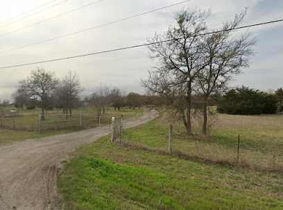 Gallery image 5 — pier and beam repair in Austin