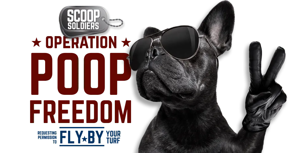 dog poop pick up Orlando