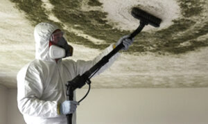 Gallery image 7 — emergency mold inspection Carrollton