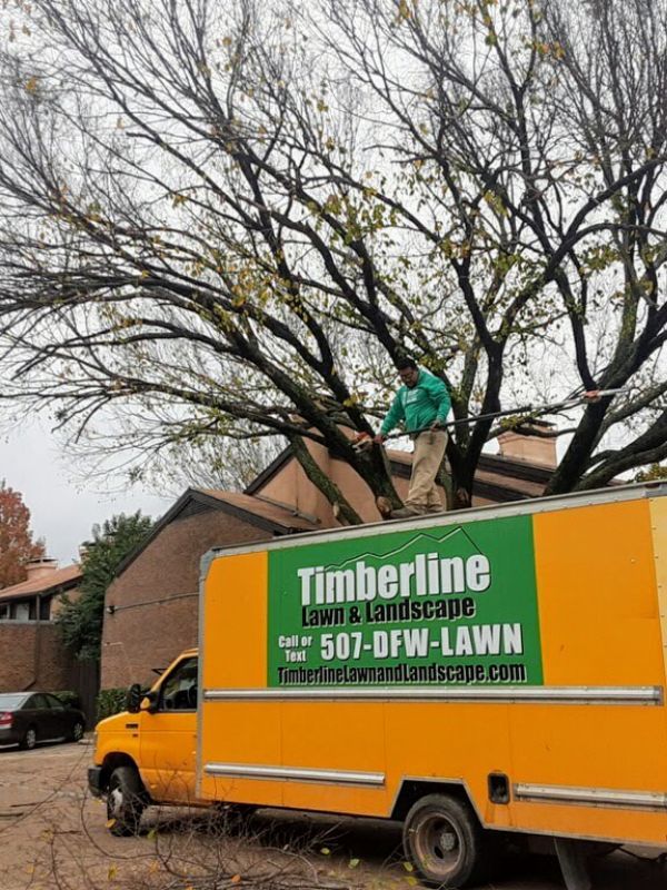 Gallery image 1 — HOA landscape maintenance Dallas