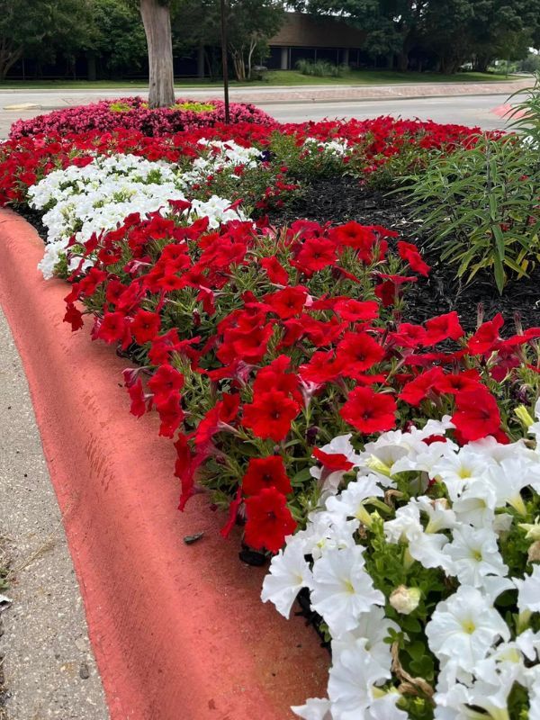 Gallery image 3 — HOA landscape maintenance Dallas