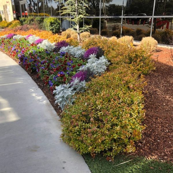 Gallery image 5 — HOA landscape maintenance Dallas