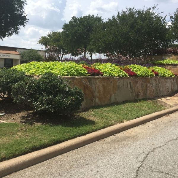 Gallery image 7 — HOA landscape maintenance Dallas