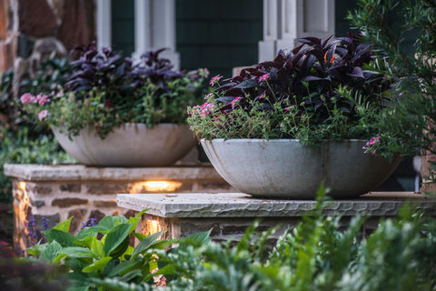 3D landscaping design Dallas