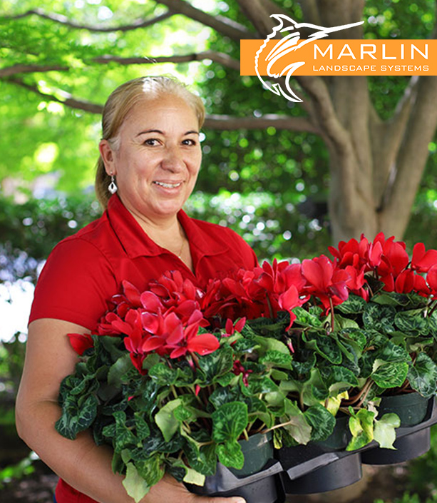 luxury landscaping in Dallas