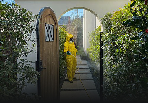 Gallery image 5 — best landscapers in Dallas