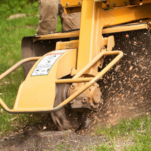 Gallery image 1 — stump removal Dallas