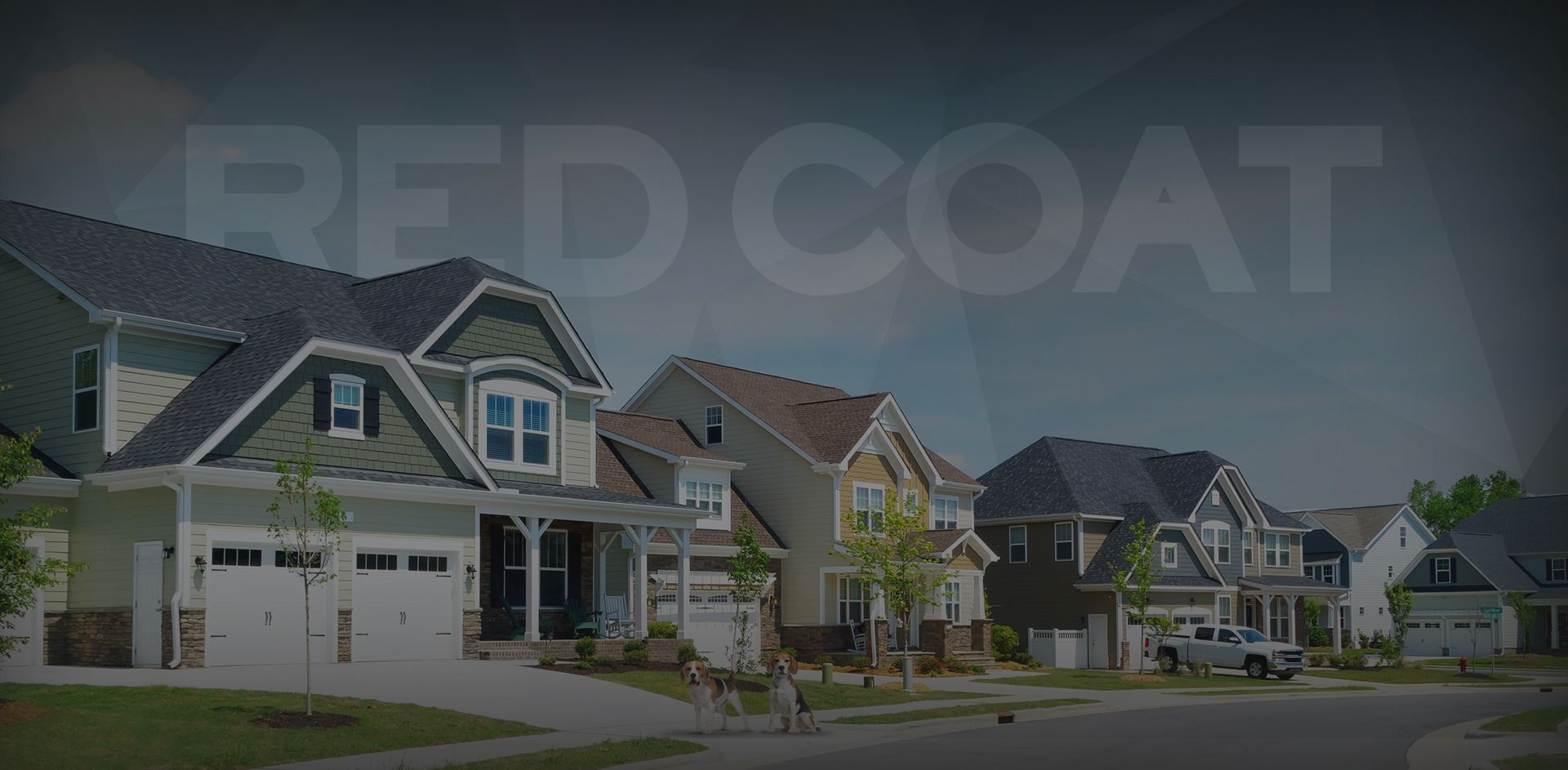 pest control in Atlanta