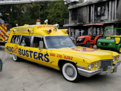 About Sentricon termite elimination near me