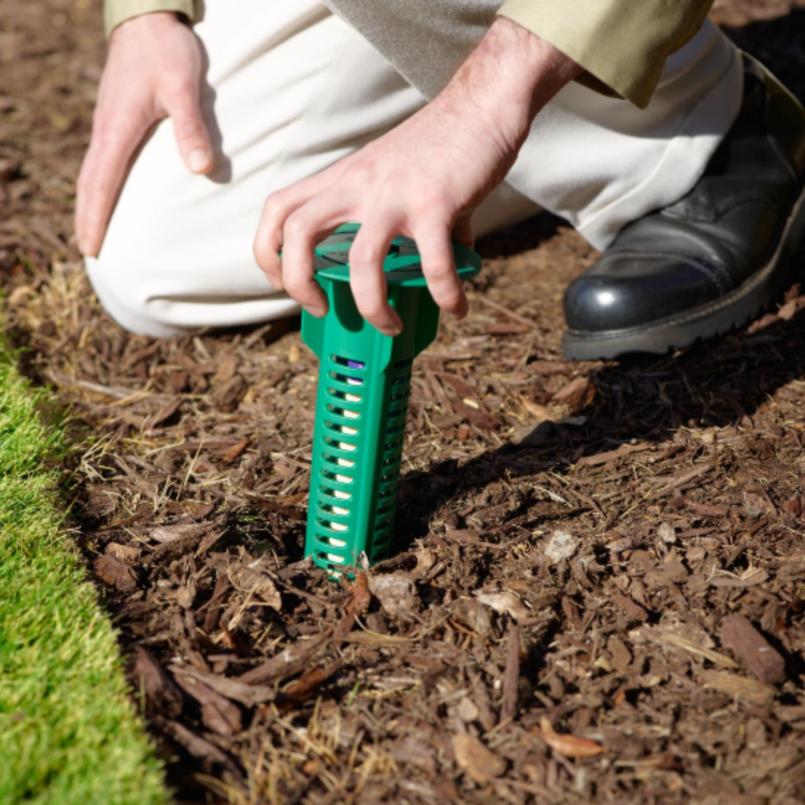 Gallery image 4 — Sentricon termite elimination near me